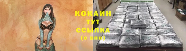 сатива Алзамай