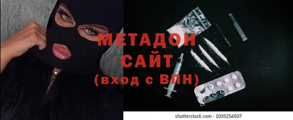 стаф Алексин