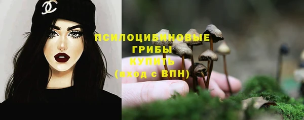стаф Алексин