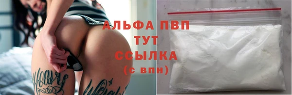 стаф Алексин