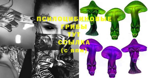 стаф Алексин