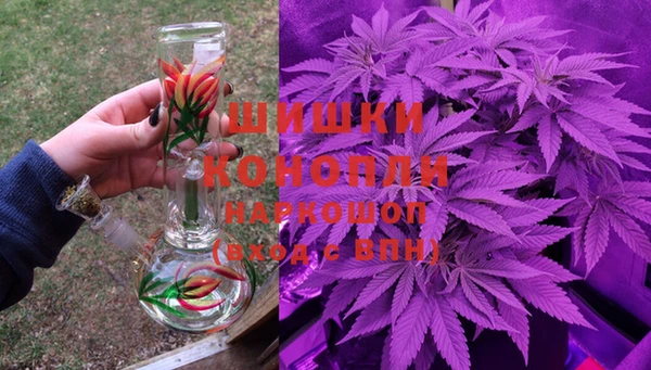 сатива Алзамай