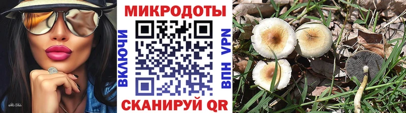 мега ТОР  Архангельск  Псилоцибиновые грибы Cubensis 